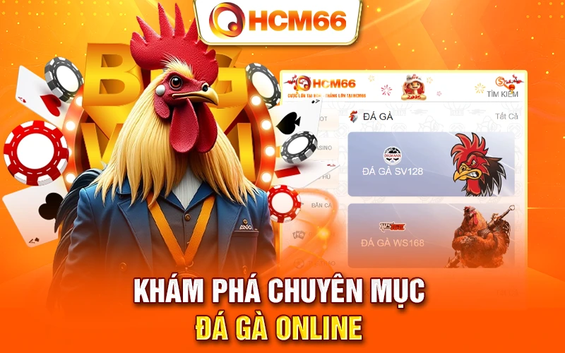 Khám phá chuyên mục đá gà online